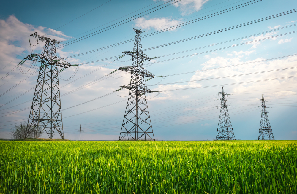 Forest-Vill Kft. – Rekordumsatz in der Elektrizitätswirtschaft