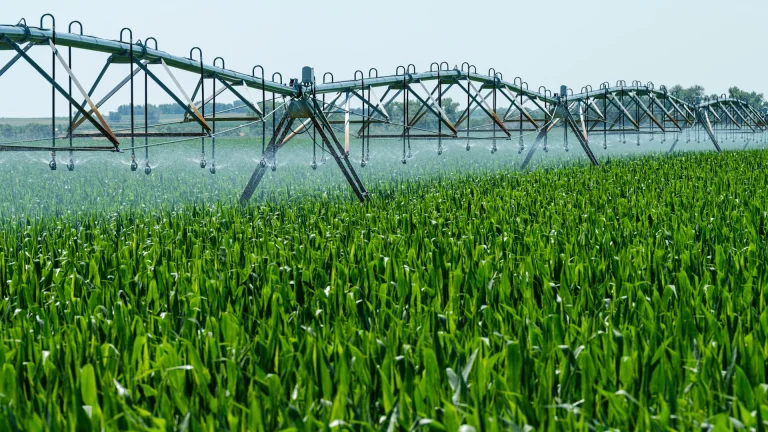 Talentis Agro Zrt. - Bewässerungsanlage in Milliardenhöhe / Talentis Agro Zrt - Irrigation system worth billions