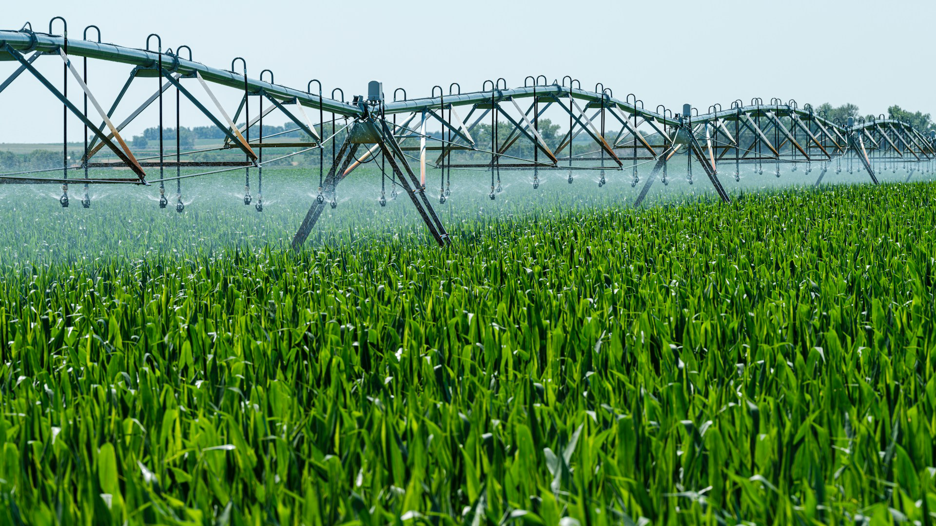 Talentis Agro Zrt. – Bewässerungsanlage in Milliardenhöhe