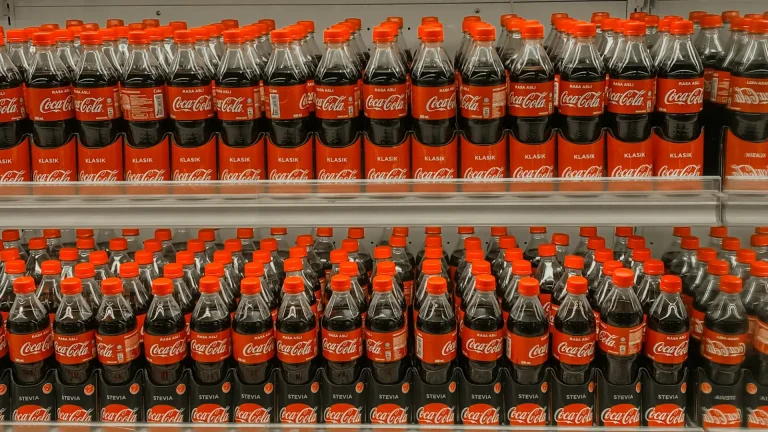 Coca-Cola HBC Magyarország - KI-gesteuerte Mikroläden im Test / Coca-Cola HBC Magyarország – AI-Driven microstores in testing